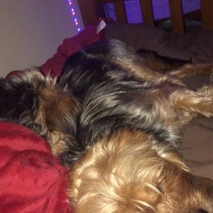 Meet your Posher, Jackie